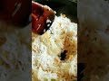 simple and quick fried rice recipe।#shorts।#milivlogs।#bengalirecipe।#shortsvideo