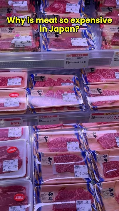 why-is-meat-so-expensive-in-japan-japan-tokyo-meat-wagyu-shorts