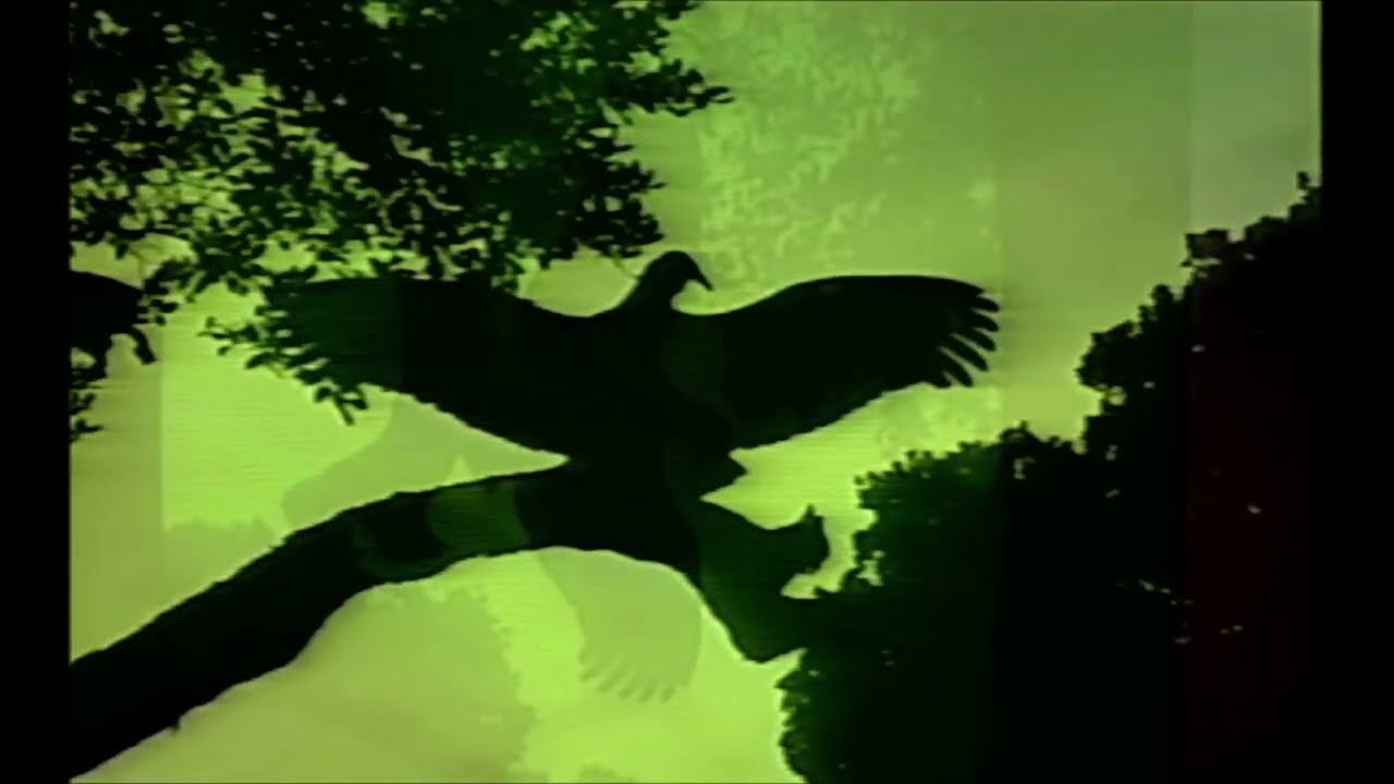 Plan de Vuelo | The Papines Experimento | Punto Cultura Federico Ramirez CCP