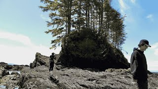 A year long summer