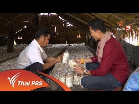 วิถีทั่วไทย : ชม - ชิมที่ฟาร์มเห็ดหอมภูเรือ (31 พ.ค. 61)