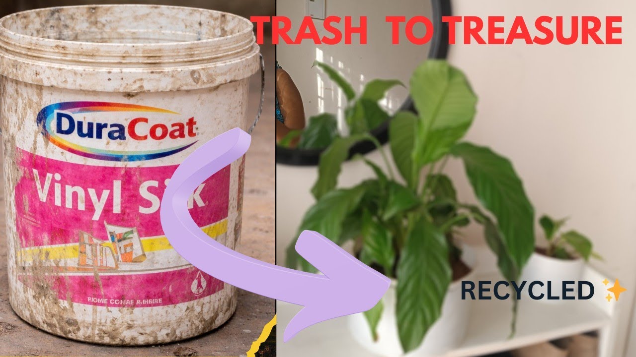 How to recycle old plastic containers into plant pots|| A day as a plant mom 💚