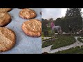 Vlog:Готовлю ореховое печенье без муки и масла//Прогулка в осеннем парке//фестиваль)))