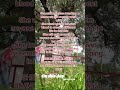 April 29 2026 