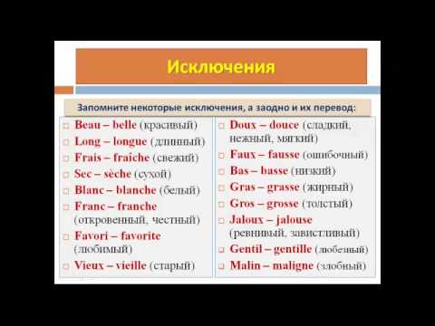 Уроки французского #30: Род и число прилагательного