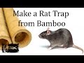 How to make a bamboo Rat Trap - Tilong Rat Trap