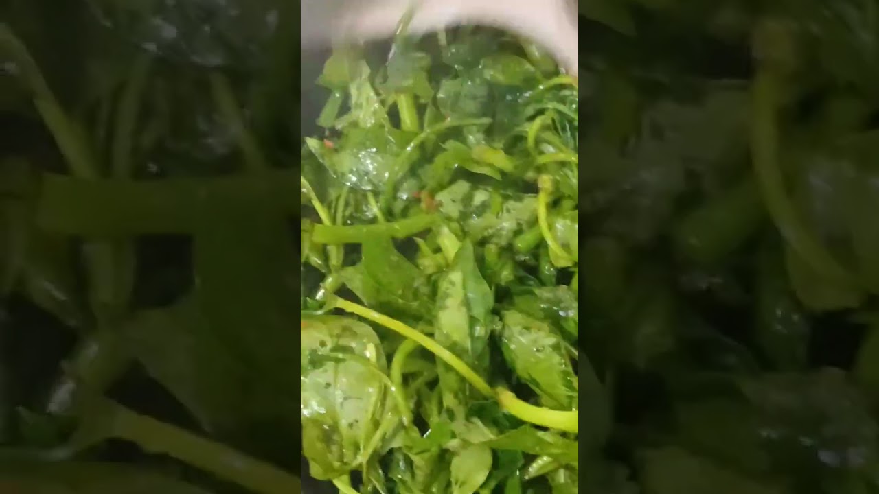 Shorts # Tumis Kangkung Blacan Simpel dn Mantap@ YouTube SARIAJAA 🫰😋🙏