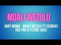 Baby Momo_Mdali Wezulu feat Ceenday, RSD Pro & Future Saxo (Official Audio)