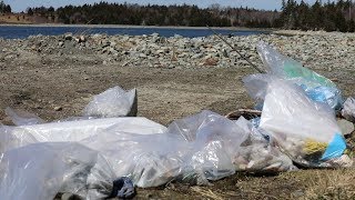 Coastal clean-ups – keeping plastic out of our oceans