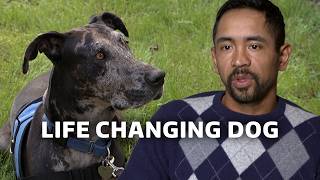 Can a Dog Help Him Overcome Trauma? | Rescue Dog to Super Dog USA S1 E1 | Our Stories