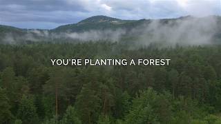 We Plant Trees Reforestation Partner Circular Computing & SYNNEX