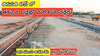 Open Plots Sale In Tirupati Near Renigunta Road | Walkable distance | Budget Price PlotsTirupati