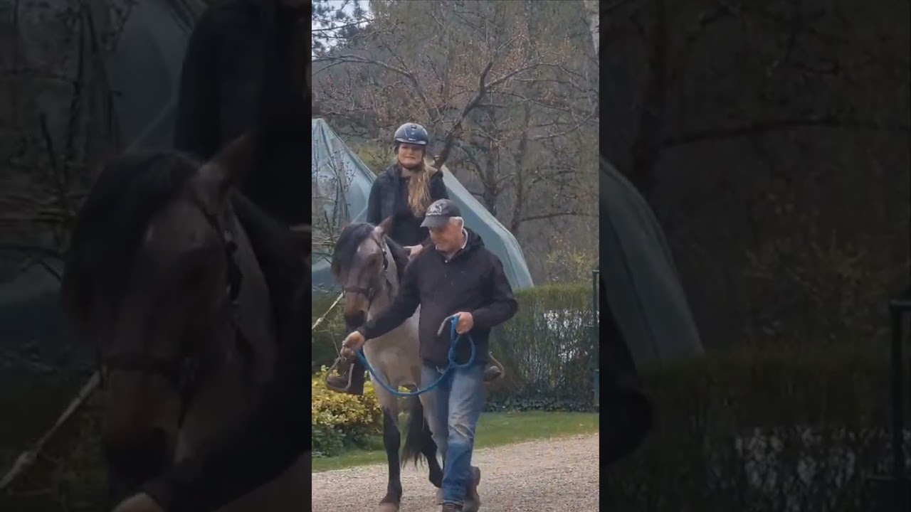 Jungpferde anreiten - Sattel auflegen und aufsteigen - Jungpferdeausbildung TEIL 5  