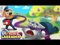 🔍Sheriff Labrador - Frutas Silvestres Peligrosas 🍎🍒 | EP 77 | Videos de Niños | BabyBus en Español