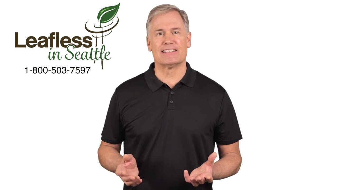 Leafless in Seattle | Can I Afford Gutter Guards?