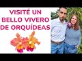 VISITÉ UN BELLO VIVERO DE ORQUÍDEAS 🌺