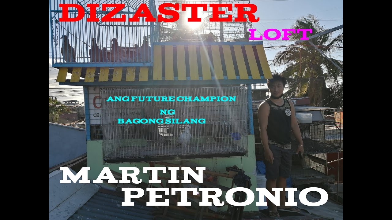 Martin Petronio  Dizaster loft