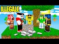 SCOPRO COME OTTENERE IL FERRO... ILLEGALE - Big Skyblock Ep.3