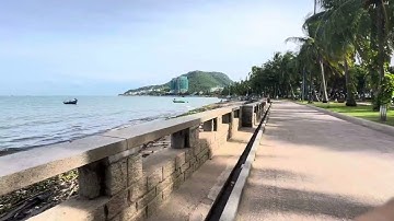 Bãi Trước Vũng Tàu lục bình cứ dạt vào cả mấy tháng rồi.