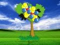 Photosynthesis Process Quiz