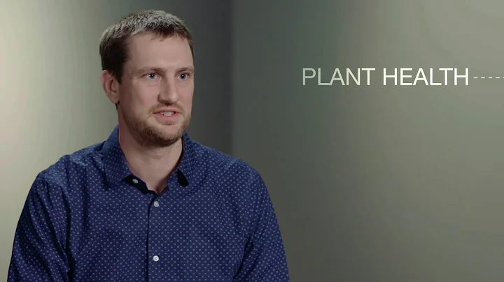 Improving Plant Health with Intrinsic® Brand Fungicides