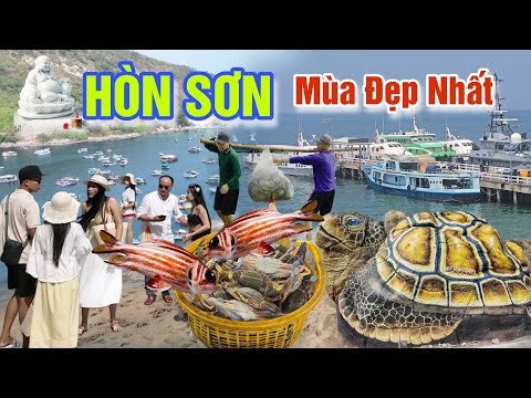KHÁM PHÁ HÒN SƠN DU LỊCH MÙA ĐẸP NHẤT - LÀNG CHÀI XÓM LƯỚI TRÚNG GHẸ, TÔM MỰC GIÁ RẺ