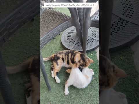 لا قدر الله لو أنا ف حياتك ارحموا من في الارض يرحمكم من في السماء جمعة مباركة اكسبلور