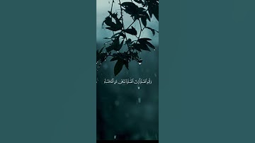 القرآن الكريم بصوت الشيخ عبد الرحمن مسعد سوره العنكبوت #اكسبلور #لايك