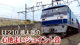 JR貨物 ジョイント音が心地よい 3050レ牽引EF210-331桃太郎(2022/06/16)