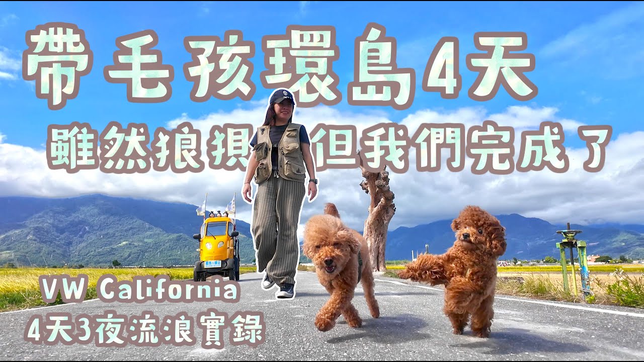 「我是露營車業者,怎麼可以不睡在路邊?」VW California 加州號 | 帶毛孩環島4天3夜 | 這趟旅程充滿了意外,卻是我和托托拉拉最珍貴的回憶 縮圖