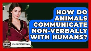 How Do Animals Communicate Non-verbally With Humans? - Worldwide Traditions