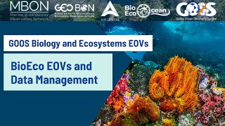 Webinar: GOOS Biology and Ecosystems Essential Ocean Variables & Data Management