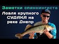 Поймал крупного судака на Днепре! Спиннинговая рыбалка с берега!