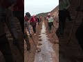 The farm planting site has good coordination and high efficiency