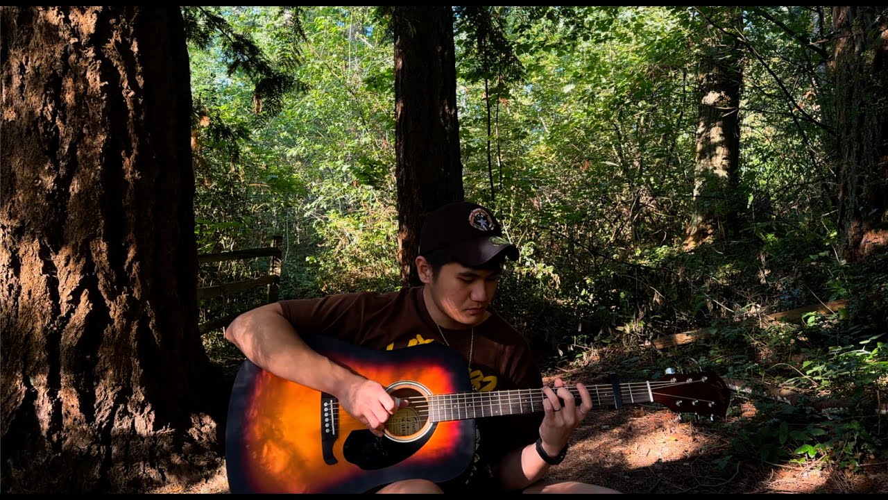 Chemical - Post Malone - Guitar Fingerstyle Cover Chemical - Post Malone - Guitar Fingerstyle Cover