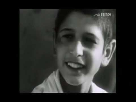    پ مثل پلیکان
