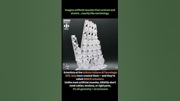3D-Printed Artificial Muscles That Move Like Real Biology! 🤖💥 | GRACE Soft Actuator Breakthrough
