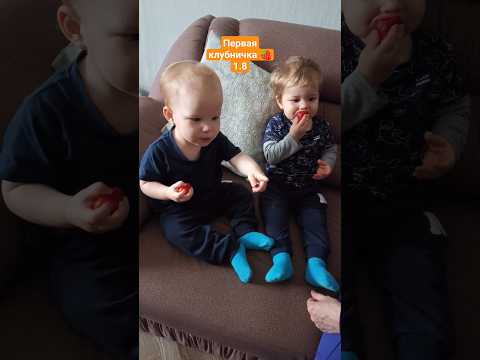 вкусно пахли клубникой потом 🤤🍓 Миша расправился быстро с ней 😁 1.8 #двойняшки#клубника#1.8