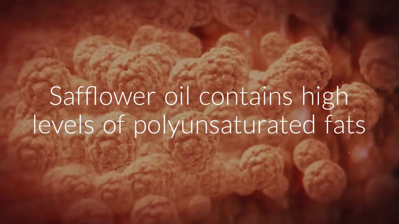Is safflower oil good for your health YouTube