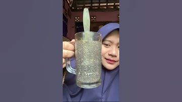 Thumbnail of CHIA SEED, MINUMAN DIET ALA ORANG LUAR NEGERI