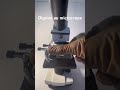#microscope
