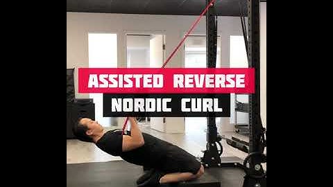 Assisted Reverse Nordic Curl - Quadriceps and Knee Strength