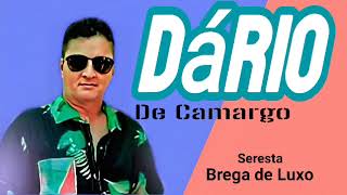 DÁRIO DE CAMARGO / SERESTA BREGA DE LUXO - CD COMPLETO