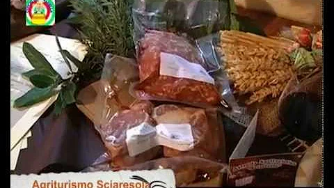 In che provincia si trova Morbegno?