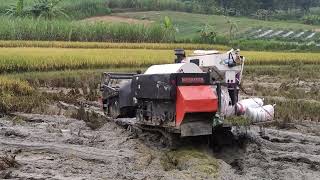panen padi tercanggih || COMBINE HARVESTER TENGGELAM di lumpur