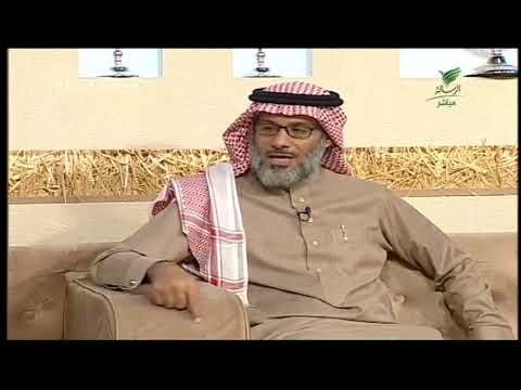 د علي الأكلبي يقدم مقترحا على الهواء لتفادي انقطاعات الإنترنت أو تعطل أحد التطبيقات عالميا