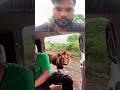 jangli sher ka masti #funny #2मुखी #vlog #comedy