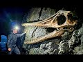 Paleontologists Found an Eerie Creature That Didn't Match Any Known Species