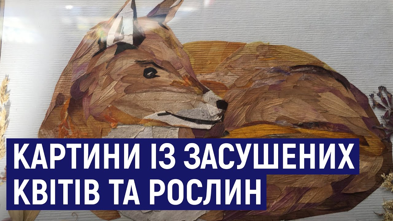 Бердичівлянка Лариса Кравченко робить картини із засушених квітів та ...