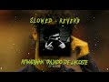 RITMADINHA TRAJADO DE LACOSTE SLOWED REVERB 
